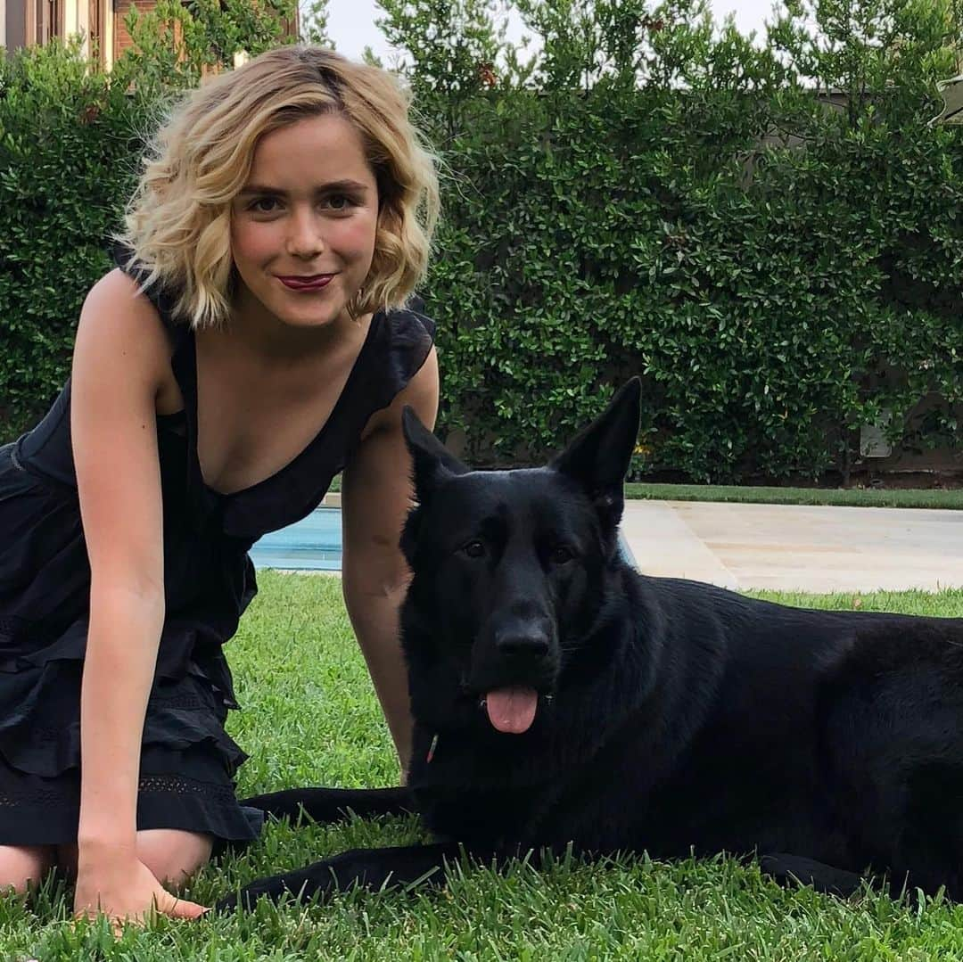 キーナン・シプカさんのインスタグラム写真 - (キーナン・シプカInstagram)「appreciation post for my dog」7月30日 7時57分 - kiernanshipka