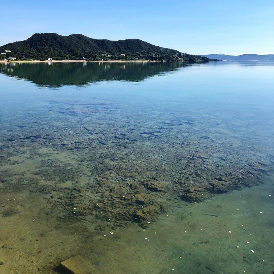 のインスタグラム：「Fine morning  #surftrip #surfinglife #amamioshima #奄美大島 #beach #beachlife 毎月一島のペースで島巡りして3か月。次は9月あたまに種子島」