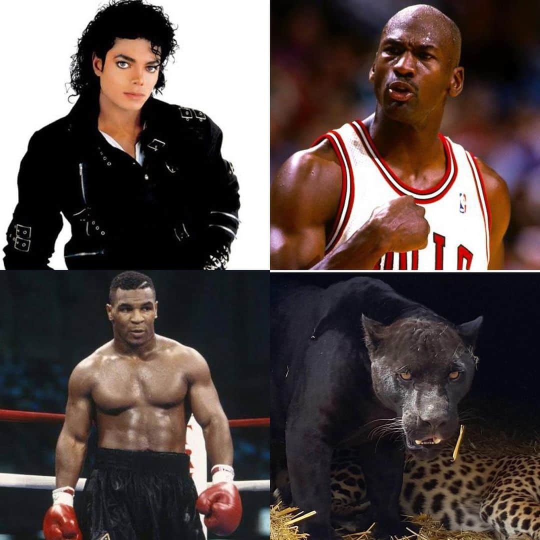 Black Jaguar-White Tiger さんのインスタグラム写真 - (Black Jaguar-White Tiger Instagram)「The coolest Michaels in history :) #MichaelJackson #MichaelJordan #MikeTyson #Michaelingui」7月30日 8時34分 - blackjaguarwhitetiger