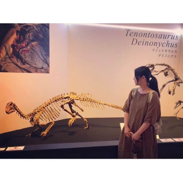 睦さんのインスタグラム写真 - (睦Instagram)「行ってきました、 国立博物館の 恐竜展2019。  キラキラした目で 復元された恐竜を 見ている子供達のお陰で 夏休みの自由研究の気分。  こんなに鮮やかな 恐竜もいたんだぁ。とか 改めて、大きさに 驚いたり、ビビったり。  童心にかえったまま、 でかいクジラにも遭遇。  上野公園らしく パンダさんのポストにも 出会えました🐼  そして、月曜日は 休館日の美術館が 多い事を知った日にも なりました😅  帰りは、アメ横で 国内なのに、 異国情緒的な気分になり。  猛暑に負けるもんか！の １日でしたぁ。  #恐竜展  #2019  #国立博物館  #上野公園  #uenopark  #ueno  #ameyoko  #アメ横  #パンダ  #panda  #post  #ポスト  #クジラ  #くじら  #whale  #ティラノサウルス  #tyrannosaurus  #復元  #恐竜  #dinosaur  #レックス ？ #rex ？ #猛暑  #ssw  #作詞家  #モデル  #lyricist  #model  #井上睦都実 #睦」7月30日 8時27分 - mutsumi1220