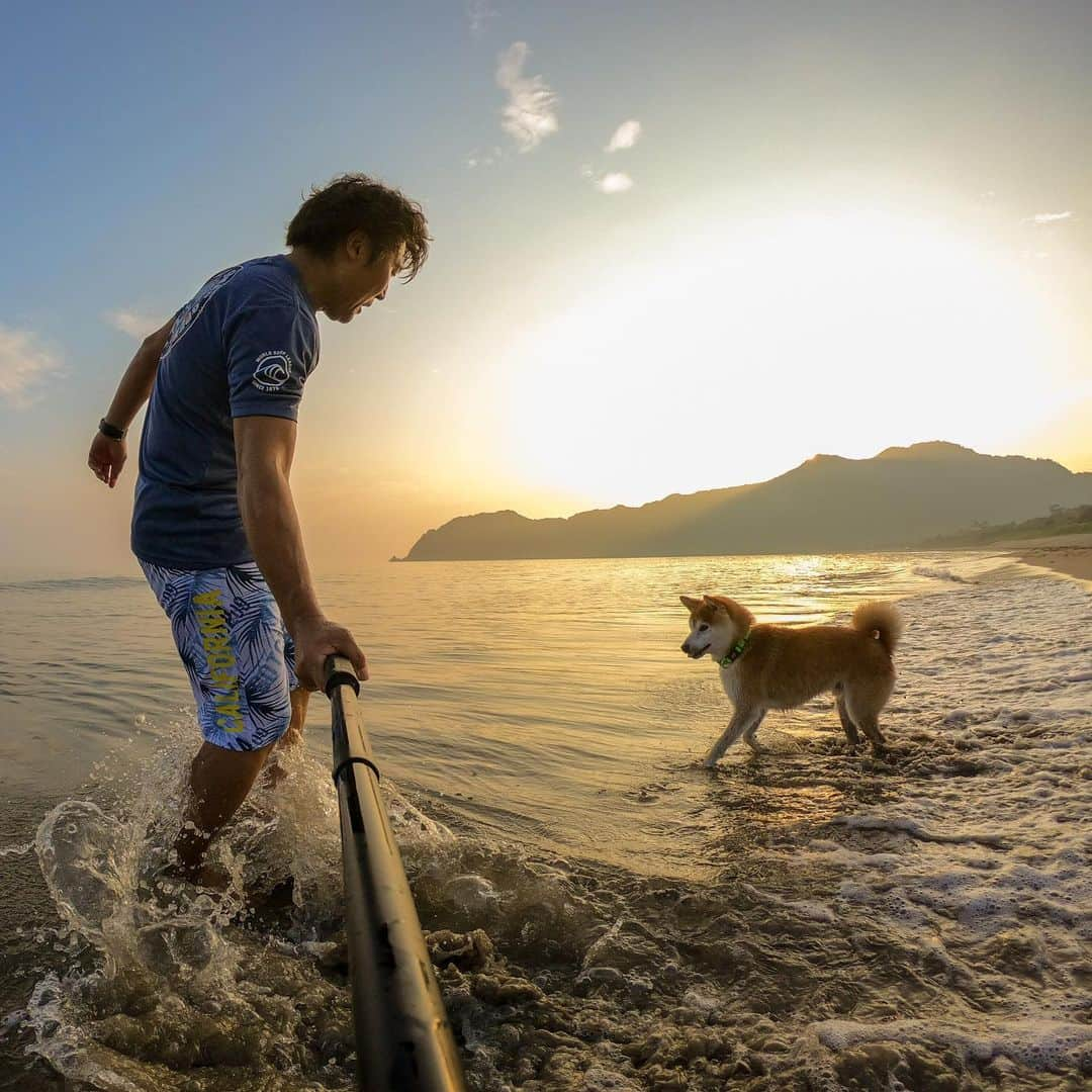 BlackRed shibasさんのインスタグラム写真 - (BlackRed shibasInstagram)「It was a lot of fun. 昨日は楽しい時間でした。 . . . #goprohero7 @gopro @goprojp . . #GoProJP #neneandmusashi2019 #GoPro #ゴープロ #shiba #shibinu #柴犬 #しばいぬ #japan #gopropets #lovely #cute #goprodog #goproのある生活 #happy #goprodog #gopropets #otvadventures #besomedoggy #doggo #goprodogsquad #redpaddleco #capturedifferent #柴犬ライフ #gopro7 #goprohero7black #sup #sea #海」7月30日 9時05分 - black_red_jp