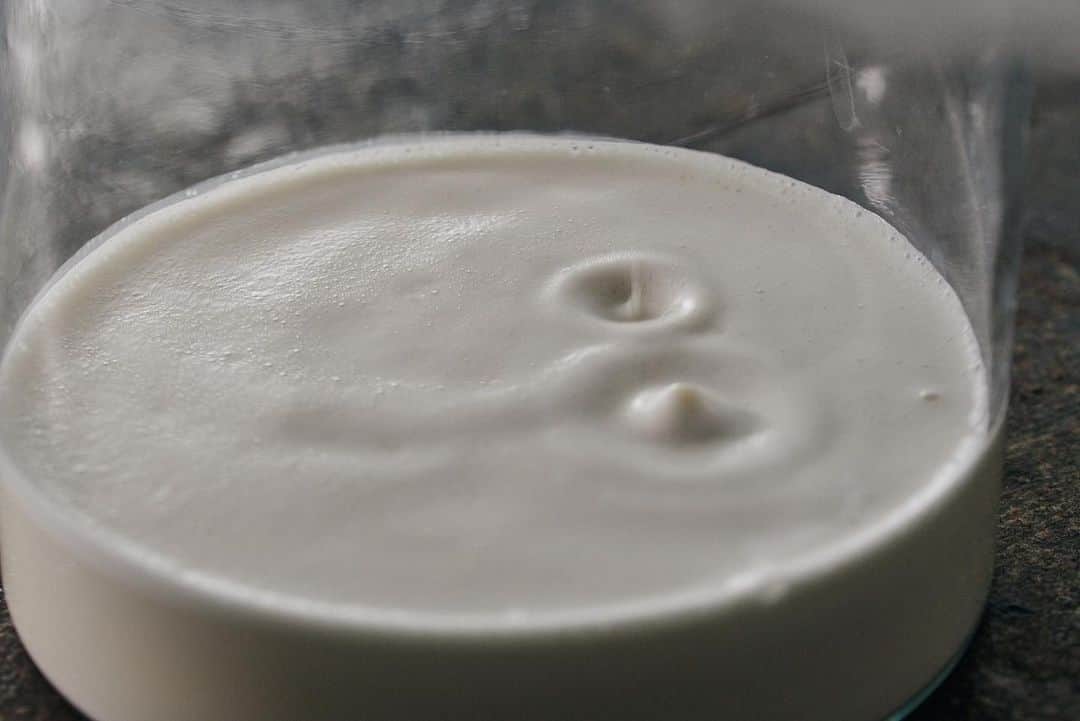 大田由香梨さんのインスタグラム写真 - (大田由香梨Instagram)「almond Milk 🥛の作り方 ❤︎ 最近お店で大人気のアーモンドミルク！家庭でも作れるので、今日は作り方をご紹介します❤︎ アーモンドを一晩水に浸して、新しいお水とアーモンドをミキサーで拡散☝🏻☺️ 綿布でしっかりと絞るとアーモンドミルクが出来上がります♡ 水分量が多ければ、さらりと。少なければマッタリとしたミルクの出来上がり🥛 お塩やメープルシロップで味の調整をすると更に美味しいですよ☝🏻☺️✨ その後、Lapazでは残ったアーモンドの搾りかすは、味付けをして、ディハイドテーターでお菓子を作っています♡  ローズマリーの香り漂うワインにとっても合う大人のお菓子です😋  植物性のミルクは「牛乳が飲めない人の代替え品」みたいな言われ方をするけれど、私は全く別物だと考えています！  食物には様々な栄養素があります！アーモンドミルクにはビタミンEや食物繊維も取れる！美容にも腸内環境にも嬉しいミルクです🥛  その時の自分の体調に合わせて選択しましょう♡  #植物性ミルク #almondmilk ＃ビタミンE ＃食物繊維 #全てを使い切る @organic_table_by_lapaz」7月30日 9時13分 - otayukari