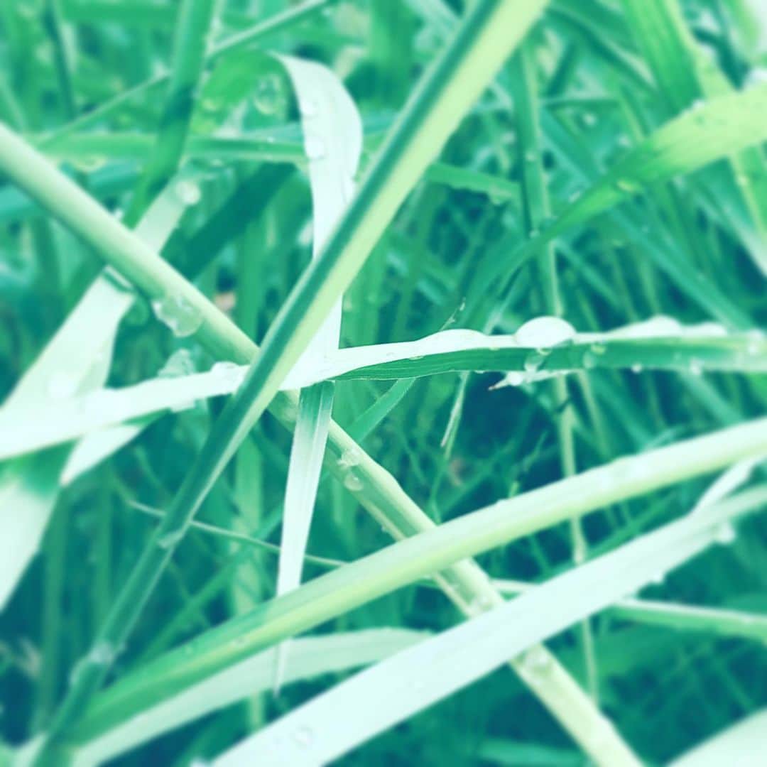 中野敬久のインスタグラム
