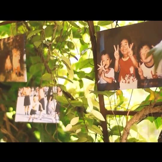 ラクラリエールのグルメインスタ