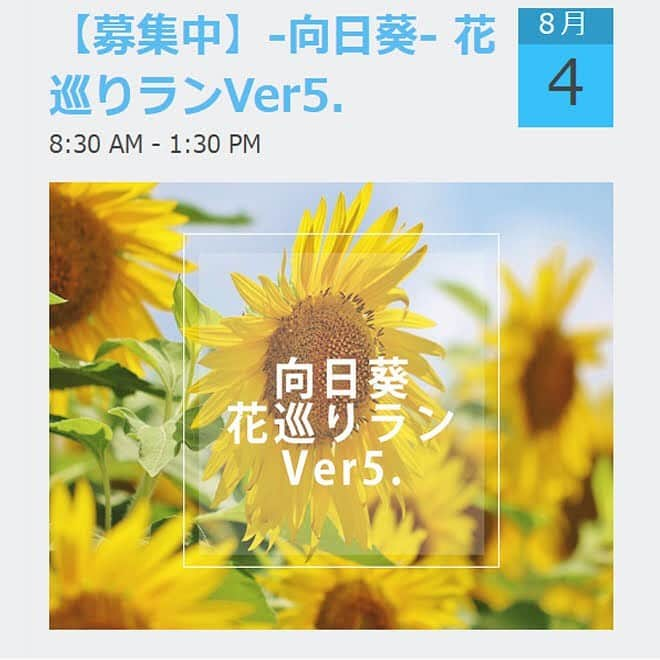 run+さんのインスタグラム写真 - (run+Instagram)「2019年8月4日【-向日葵- 花巡りランVer5.】 季節の花や御朱印、エイドを楽しみながら季節を感じながら走る街ランの楽しみ［花巡りラン］ 5回目となる今回は［花巡りランVer5.-向日葵-］ 都内から行けるひまわり畑としては大規模な"座間のひまわり畑"  日照不足の今年、咲いてる向日葵はあるのか… 咲いていなかったら最後は愉快爽快ざまのお食事処で大輪の向日葵タペストリーを見ながらのお花見ランチ。 ・ 面白そう！と思った方は下記より詳細ご覧ください。 現在参加者あと10名受付中です。 ・ 準備の都合上、申込みは8/2までとさせて頂きます。 ・ 参加費 ０円 ＊御朱印代、銭湯・コインロッカーの施設利用代等は自己負担。 ゆるめの街ラン企画です。 気になった方は↓から詳細確認&お申込み頂けます。 >>>https://runplus.jp/event/20190804/ ＊または、プロフィール→WEBサイト→イベント［花巡りランVer5.-向日葵- ］から＊ ・ #御朱印ラン #旅ラン ・ #ランニング #ジョギング #ゆるラン #ランニング女子 #街ラン #街RUN #CITYRUN #RUN #RUNNING #ランニケーション ​ #ランニング好きな人と繋がりたい #初心者ランナー #ランニング」7月30日 10時18分 - runplus