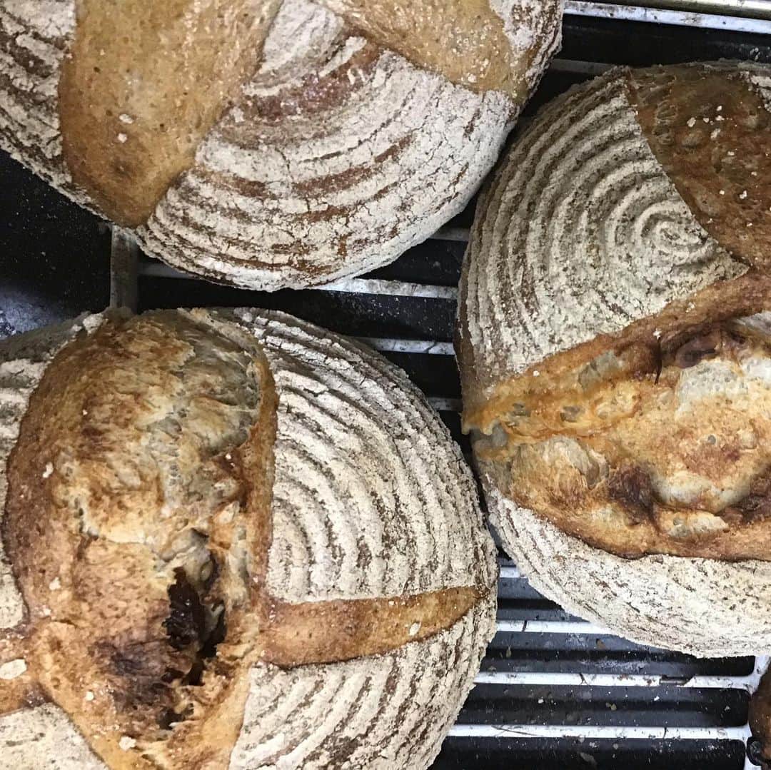 魔女菅原のグルメインスタ