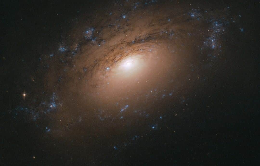 NASAさんのインスタグラム写真 - (NASAInstagram)「Every now and then, the NASA/ESA Hubble Space Telescope glimpses a common object — say, a spiral galaxy — in an interesting or unusual way. A sharply angled perspective, such as the one shown in this Hubble image, can make it seem as if we, the viewers, are craning our necks to see over a barrier into the galaxy's bright center.  In the case of NGC 3169, this barrier is the thick dust embedded within the galaxy's spiral arms. Cosmic dust comprises a potpourri of particles, including water ice, hydrocarbons, silicates and other solid material. It has many origins and sources, from the leftovers of star and planet formation to molecules modified over millions of years by interactions with starlight.  NGC 3169 is located about 70 million light-years away in the constellation of Sextans (the Sextant). It is part of the Leo I Group of galaxies, which, like the Local Group that houses our home galaxy, the Milky Way, is part of a larger galactic congregation known as the Virgo Supercluster.  Credit: ESA/Hubble & NASA, L. Ho」7月30日 10時50分 - nasagoddard