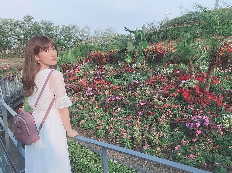 秋波愛さんのインスタグラム写真 秋波愛instagram おはなきれい ラグーナテンボス ラグーナ ラグナシア フラワーラグーン トロピカルガーデン 花フォト Lagunatenbosch Laguna Flowerlagoon Flower Girl Dela あいちん 秋波