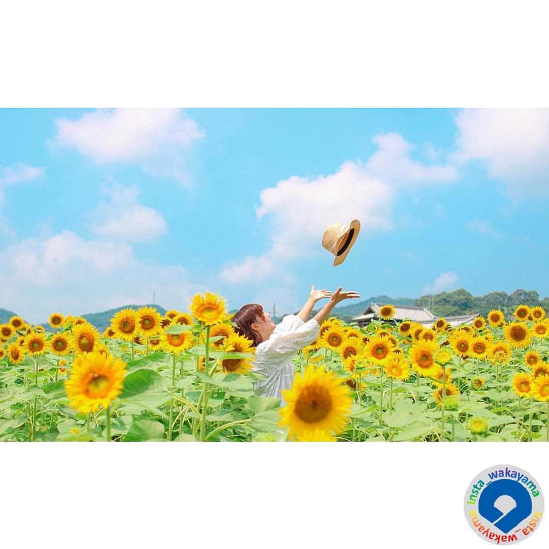 和歌山県のインスタグラム