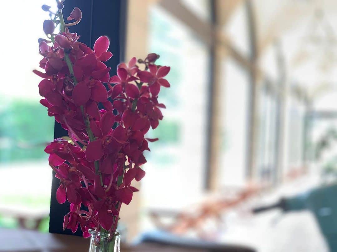 カフェ ジョルジオ 金沢のグルメインスタ