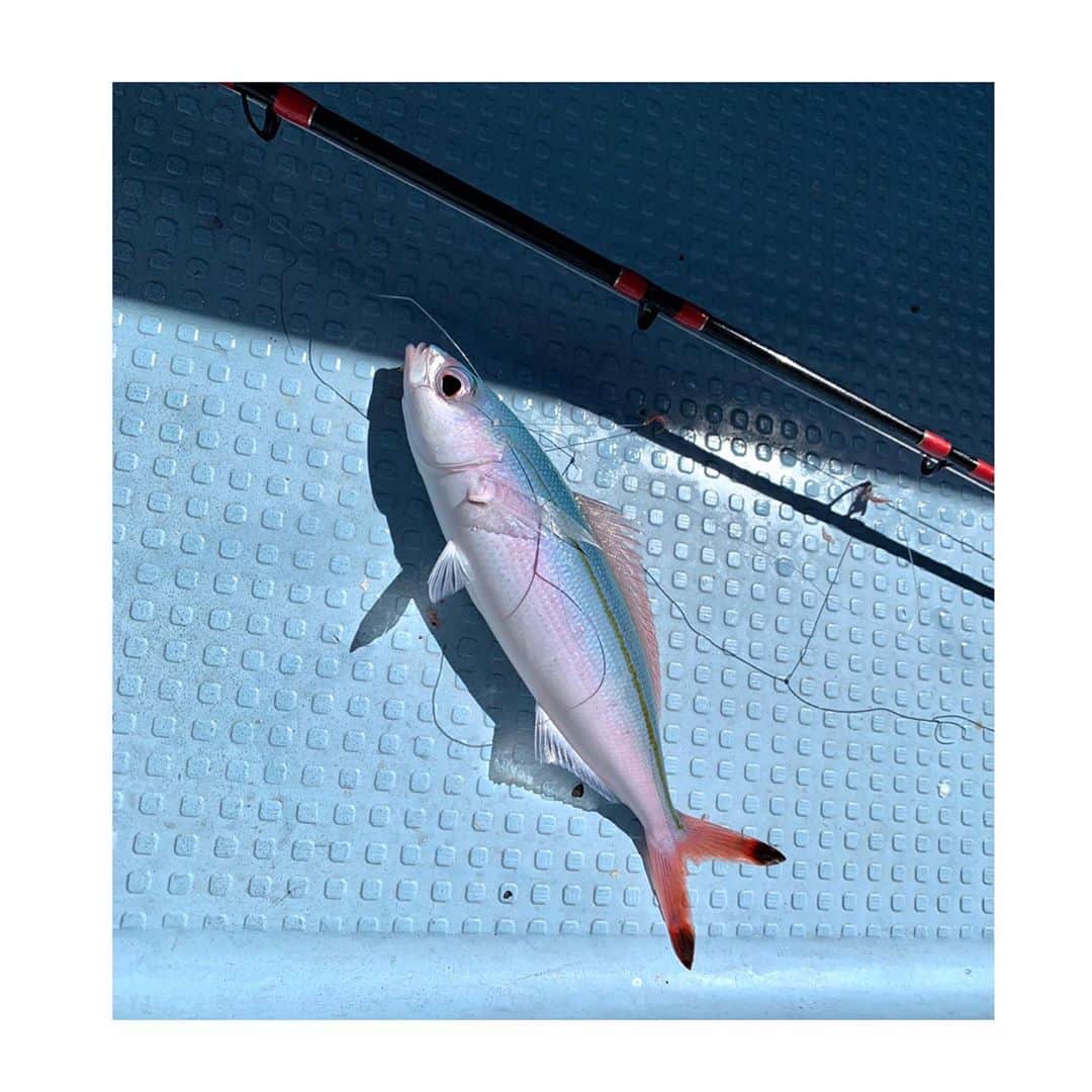 MAIKO さんのインスタグラム写真 - (MAIKO Instagram)「#沖釣り初日誌 🎣 #一発目釣り上げたのはけいぴー🙋🏻‍♂️ ・ ・ ・ #グルクン 🐟 #一番最初に釣った人はご褒美にかき氷 🍧 #ビリはカンチョー🤞 #はるしゃアウト💥 #釣りの癖が強い🎣 #初めてだもんっ」7月30日 12時15分 - maiko_oops