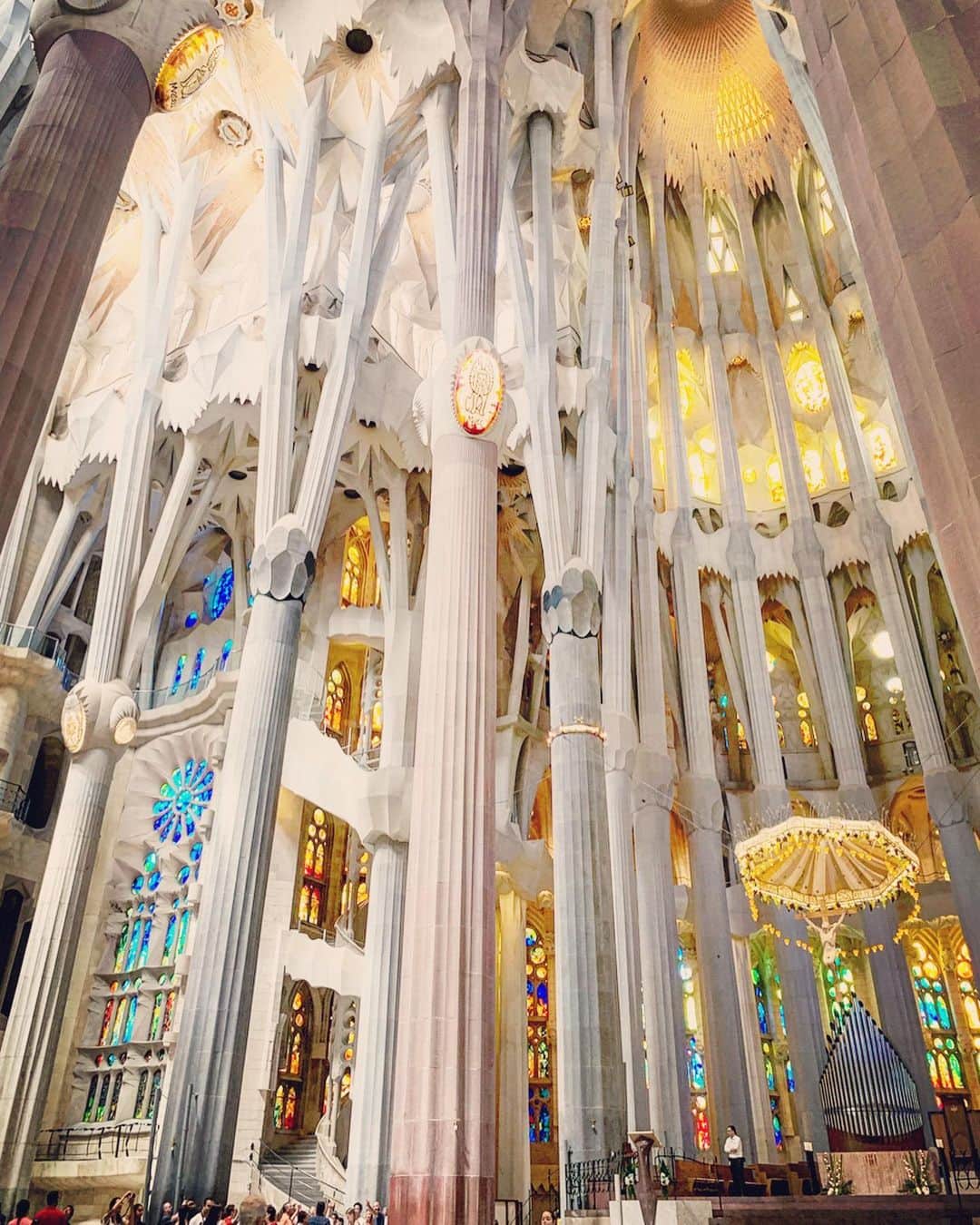 渡辺由布子さんのインスタグラム写真 - (渡辺由布子Instagram)「🏰 ・ Sagrada Familia＿ Hard to describe this architecture. Just remarkable... ＿＿＿＿＿＿＿＿＿＿＿＿＿＿＿＿＿＿＿＿＿＿＿＿＿＿＿＿＿＿＿＿＿＿＿＿＿＿＿＿＿＿＿ 未完の世界遺産、#サグラダファミリア の聖堂内部へ、卒業旅行以来13年ぶりに潜入。 ・  光とステンドグラスが織り成す芸術。 言葉では足りるはずもなく、写真では伝えきれないほどの圧巻の景色がそこにあり、吸い込まれるようにただ見入ってしまった。  いよいよ2026年完成予定だそうなので是非それまでに訪れてみて！  ハイシーズンは予約必須なので要注意。 前回はそれで痛い目に遭ったよ。  #ヨーロッパ周遊 #スペイン旅行 #バルセロナ  #夏休み  #summer #vacation #vacaymood  #worldheritage  #GAUDI  #europe #traveladdiction  #barcelonagram ＿＿＿＿＿＿＿＿＿＿＿＿＿＿＿＿＿＿＿＿＿＿＿＿＿ 📍 @sagradafamiliamedellin #Catalunya #Barcelona #Spain #🇪🇸」7月30日 12時38分 - watanabe_yuko