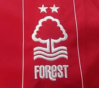 ヨアン・ベナルアンのインスタグラム：「The year of the story , we will do it @officialnffc #nottingham #nottinghamforest #football #premiereleague #yb29pablopicasso #coyr 🔴🦅」