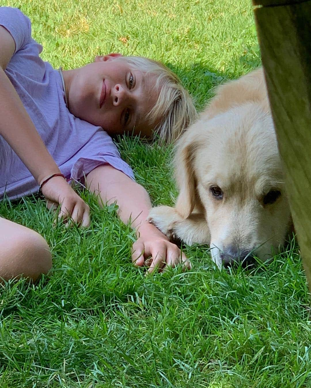 ブルース・ウェーバーさんのインスタグラム写真 - (ブルース・ウェーバーInstagram)「Beau and Bonito just  getting to know each other -  it was so much fun to have my nephews kids come by to say hi and get a swim with the dogs in Montauk」7月31日 0時11分 - bruce_weber