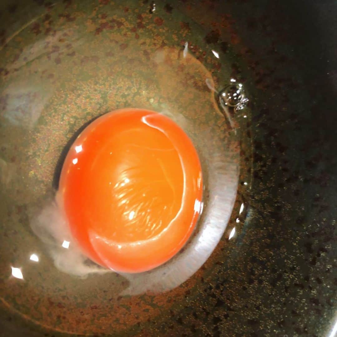 世手子さんのインスタグラム写真 - (世手子Instagram)「Yakiniku in summer((o(^∇^)o)) Egg setting rice using Oita eggｖ（＾＿＾ｖ）♪ Everyone ,Thank you comments everyday^_^ https://item.woomy.me/c/55876 @nikunone #にくの音 で一人焼肉行ってきたよ(=´∀｀) 夏と言えば焼肉だよね(#^.^#) 歌舞伎町の映画館の近くにある高級感あふれるお店(=^x^=) マルチョウもカルビもプリプリっっ ここは #コチュジャン がめちゃうまっっ なので #ユッケジャンスープ が美味しかったー！ 5辛まで選べたよ(*^◯^*) 3辛でも全然辛かった！ スバラシー！ そして 大分県産の卵を使った卵かけご飯がめちゃうまっっ 卵黄色いー！！ swipeしてね^_−☆ デザートは #柚子シャーベット ひんやり美味しい٩( 'ω' )و 最後にオリジナルミンティアくれちゃう素晴らしさ(^_^) 是非行ってみてねー(#^.^#) 新宿 にくの音でgo! Casting by @woomy.restaurant」7月30日 16時11分 - rojide