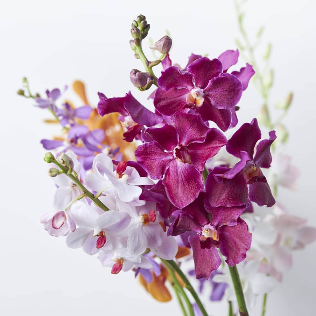 青山フラワーマーケットのグルメインスタ