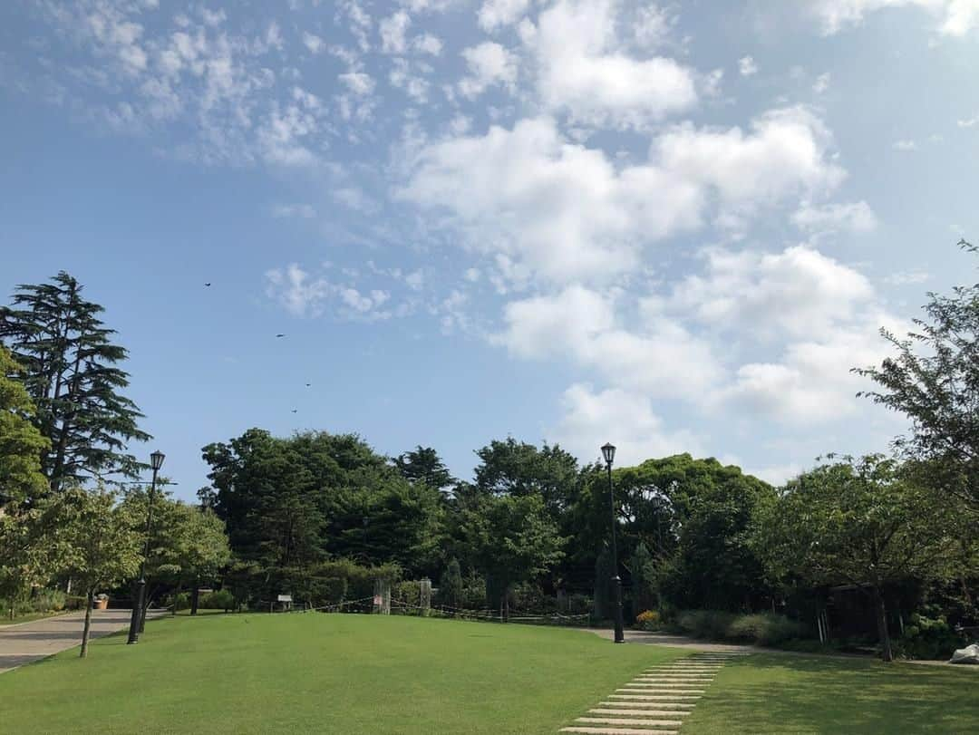 東京カメラ部 横浜分室さんのインスタグラム写真 - (東京カメラ部 横浜分室Instagram)「「梅雨明け」⠀ .⠀ 昨日関東でも梅雨明けが発表されましたね。⠀ 平年より8日、昨年より30日ほど遅い梅雨明けだそうです。⠀ 元町・中華街駅から直結のアメリカ山公園でもセミの鳴き声が聞こえ、夏を感じさせてくれます。⠀ みなさまも熱中症には十分お気をつけの上、素敵な夏をお過ごしください♪⠀ .⠀ みなとみらい線公式Facebook「わたしの横浜4.1キロさんぽ」で横浜の魅力を発信中！⠀ そちらも是非ご覧下さい！<PR>⠀ .⠀ #みなとみらい線フォト散歩 #みなとみらい線フォトさんぽ #みなとみらい線 #横浜 #新高島 #みなとみらい #馬車道 #日本大通り #元町中華街 #yokohama #東京カメラ部 #Japan #photo #写真 #日本 #motomachi #アメリカ山公園 #梅雨明け #夏空 #夏 #summer #ファインダー越の風景 #写真を撮るのが好きな人と繋がりたい #ig_japan #自然 #緑のある暮らし #japan_daytime_view #nature #myyokohama #japan_vacations」7月30日 17時00分 - tcc.yokohama