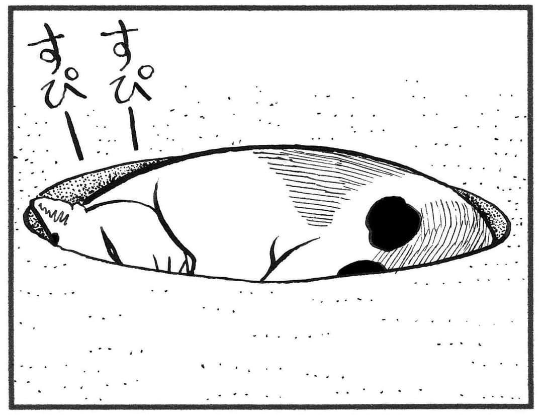 相原コージさんのインスタグラム写真 - (相原コージInstagram)「『こびとねこ』発売中です。 #こびとねこ #ねこ #こびと #ねこ漫画 #蟻地獄 #cat #manga #comics」7月30日 18時05分 - kojiaihara