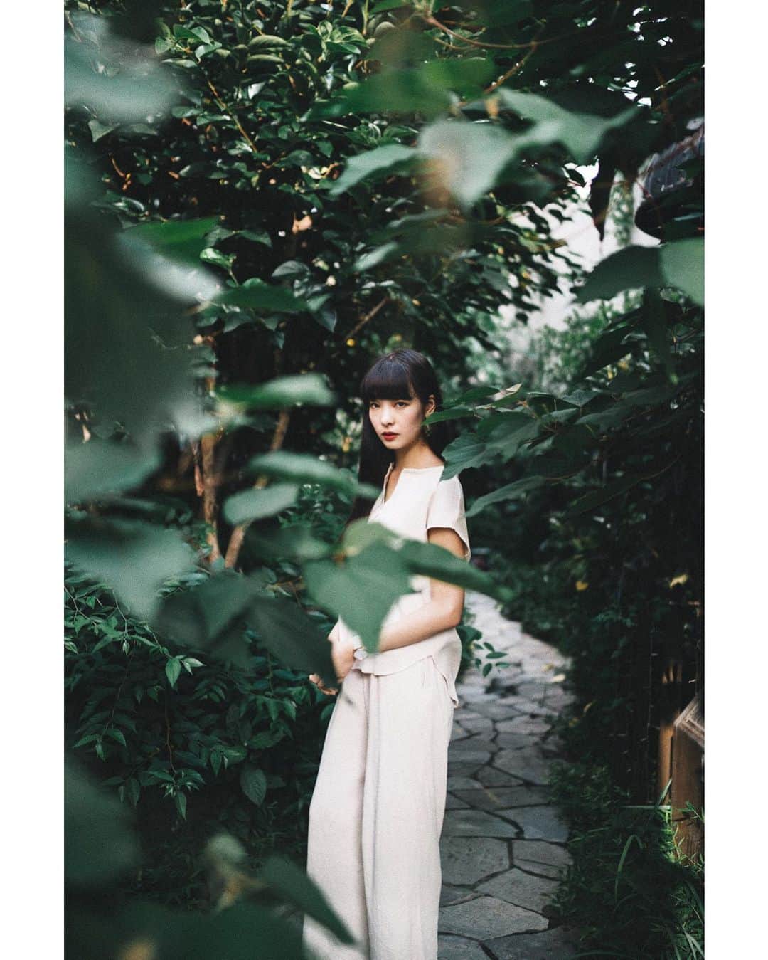 GENTAのインスタグラム：「夏の緑🌿鬱蒼とした緑🌿 #distagon」