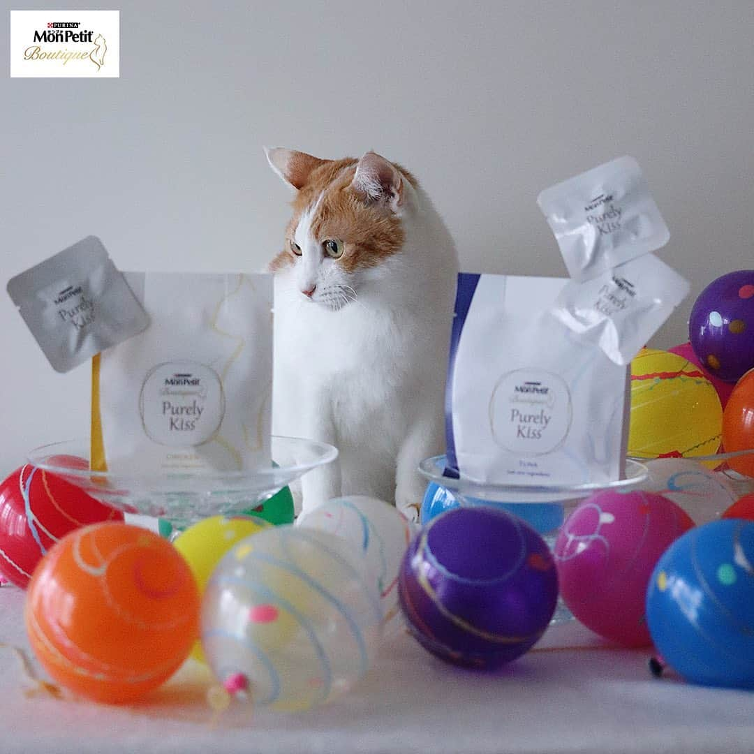 Purina Mon Petit Japanさんのインスタグラム写真 - (Purina Mon Petit JapanInstagram)「カラフルなヨーヨー🎈で遊びたい…けどやっぱり気になる"モンプチ ブティック ピュアリーキッス"﻿ それほどネコちゃんを虜😻にする"ピュアリーキッス"とは…﻿ ﻿ 最愛のネコちゃんにはどんなことでもしてあげたい、﻿ そんな思いにこたえるために生まれた「モンプチ ブティック」が ツナやチキンの身を一つ一つ手作業で丁寧にほぐし、特別な製法で美味しさをぎゅっと濃縮した、﻿ 合成添加物不使用、無着色無香料のナチュラルなおやつ🍩です﻿ ﻿ 令和で最初の特別な夏、特別なおやつを、あなたの特別なネコちゃんに…﻿ ﻿ ＼画像をタップすると購入できます／﻿ -------------------------------------﻿ ﻿ #モンプチ #モンプチブティック #ピュアリーキッス #キャットフード #にゃんすたぐらむ #ねこすたぐらむ #にゃんだふるライフ #ねこ部 #猫部 #にゃんこ部 #猫好き #猫大好き #猫がいる生活 #猫のいる暮らし #猫好きな人と繋がりたい #猫好きさんと繋がりたい #猫の気持ち #猫用品 #猫と暮らす #猫写真 #猫のおやつ #おやつ #ギフト #贈り物 #プレゼント #ヨーヨー #ヨーヨーつり #ヨーヨー釣り  #夏祭り #夏の風物詩」7月30日 19時24分 - monpetit_jp