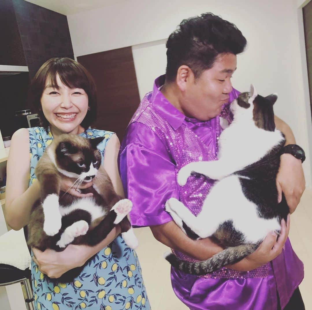 ゴリけんさんのインスタグラム写真 - (ゴリけんInstagram)「まるまる肥えた 猫ちゃんを ゴリおし！！ そしてまるまる肥えた僕も マイナス３キロ！ ダイエット継続中 #ももち浜ストア」7月30日 19時43分 - goriken1024