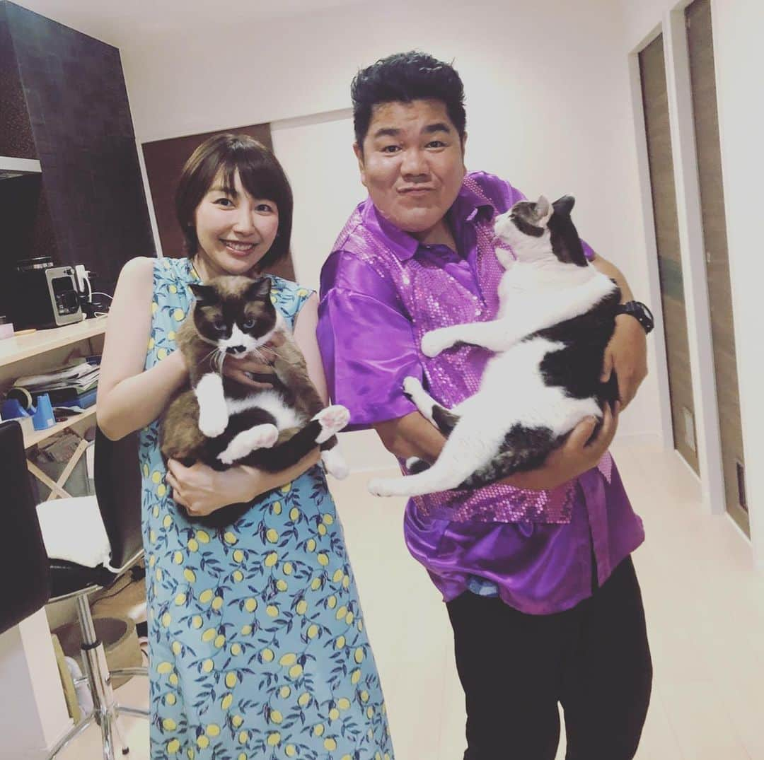 ゴリけんさんのインスタグラム写真 - (ゴリけんInstagram)「まるまる肥えた 猫ちゃんを ゴリおし！！ そしてまるまる肥えた僕も マイナス３キロ！ ダイエット継続中 #ももち浜ストア」7月30日 19時43分 - goriken1024