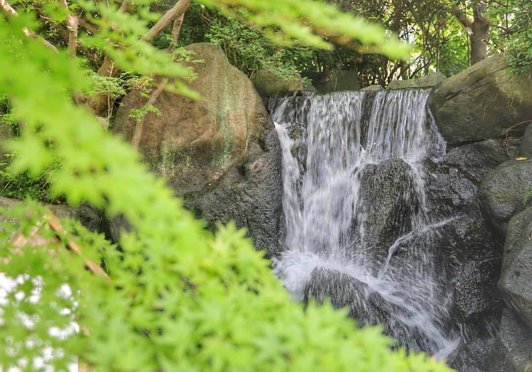 葉山町のインスタグラム