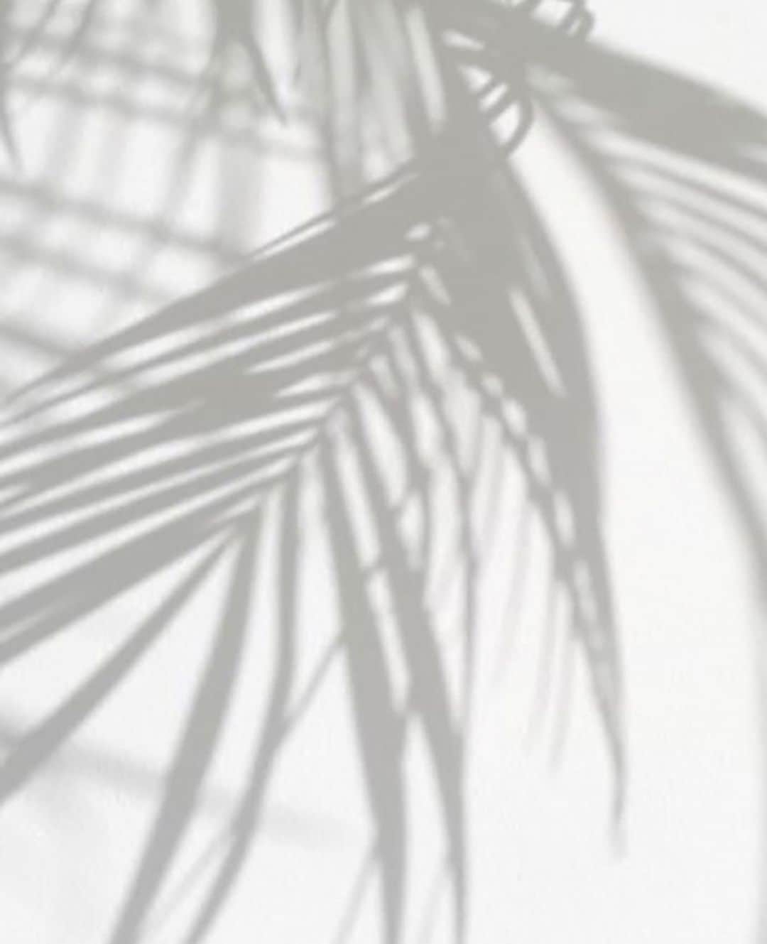 スターメラのインスタグラム：「Palm shade si always a good idea!! #starmelauk#starmela @small_sg 📷 . . . . . #tuesday #inspiration #summervibes #summertime#starmela#mystarmela#tuesdaymotivation#london#paris#beachday #beachvibes#beach#fashion#fashionvibes#etnicchic#lovesummerhateeverythingelse」