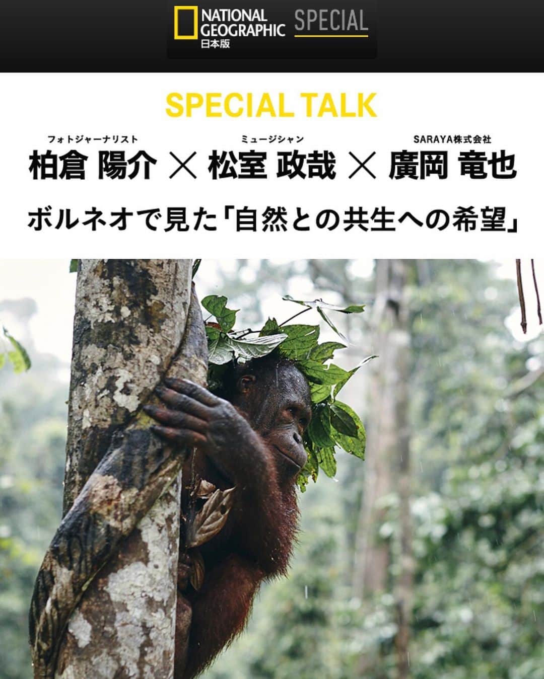 柏倉陽介さんのインスタグラム写真 - (柏倉陽介Instagram)「そして、日本版ナショナルジオグラフィックのトップページ「Photo Stories ボルネオは持続可能な島になれるのか？ 森と動物たちの保護の現場を旅する　写真17点」の中にある写真と撮影秘話というボタンを押すと、ボルネオで見た「自然と共生への希望」という対談ページが公開されています。こちらも是非ご覧ください。 https://special.nikkeibp.co.jp/atclh/TS/19/saraya01/ 📷 @yosuke_kashiwakura #自然 #写真 #動物 #カメラ #環境 #earthfocus #nature #instagram #wildernessculture #natgeo #wildlife #orangutan #elephant #endangeredspecies #photography #discoverearth #environment」7月30日 20時07分 - yosuke_kashiwakura