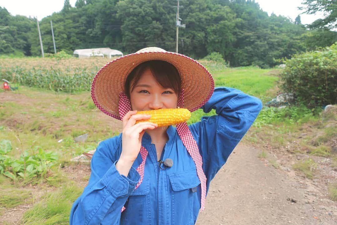 石田亜佑美さんのインスタグラム写真 - (石田亜佑美Instagram)「仙台放送 あらあらかしこ🌼 . . 村田町で美味しいとうもろこしに出会いました 「味来(みらい)」 フルーツコーンとも呼ばれるくらい味が濃くてあまーいです！ . 汗だくになりながらの収穫作業は、農家の皆さんの苦労と愛情を感じ、改めて食材に対して"ありがとう"の気持ちを持とう！と思いました。いただきます、そしてごちそうさま。 . その様子は8/10(土)放送です！ . . #仙台放送 #あらあらかしこ #あらかし #石田亜佑美が行くっ！ #宮城 #柴田郡 #村田町 #とうもろこし #味来 #つなぎ #麦わら帽子 #morningmusume19 #モーニング娘19 #石田亜佑美」7月30日 20時32分 - ayumi_ishida.official