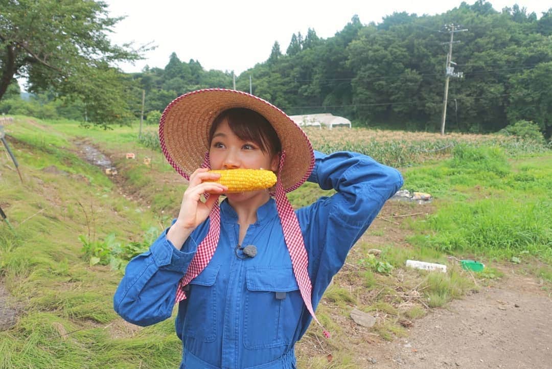石田亜佑美さんのインスタグラム写真 - (石田亜佑美Instagram)「仙台放送 あらあらかしこ🌼 . . 村田町で美味しいとうもろこしに出会いました 「味来(みらい)」 フルーツコーンとも呼ばれるくらい味が濃くてあまーいです！ . 汗だくになりながらの収穫作業は、農家の皆さんの苦労と愛情を感じ、改めて食材に対して"ありがとう"の気持ちを持とう！と思いました。いただきます、そしてごちそうさま。 . その様子は8/10(土)放送です！ . . #仙台放送 #あらあらかしこ #あらかし #石田亜佑美が行くっ！ #宮城 #柴田郡 #村田町 #とうもろこし #味来 #つなぎ #麦わら帽子 #morningmusume19 #モーニング娘19 #石田亜佑美」7月30日 20時32分 - ayumi_ishida.official