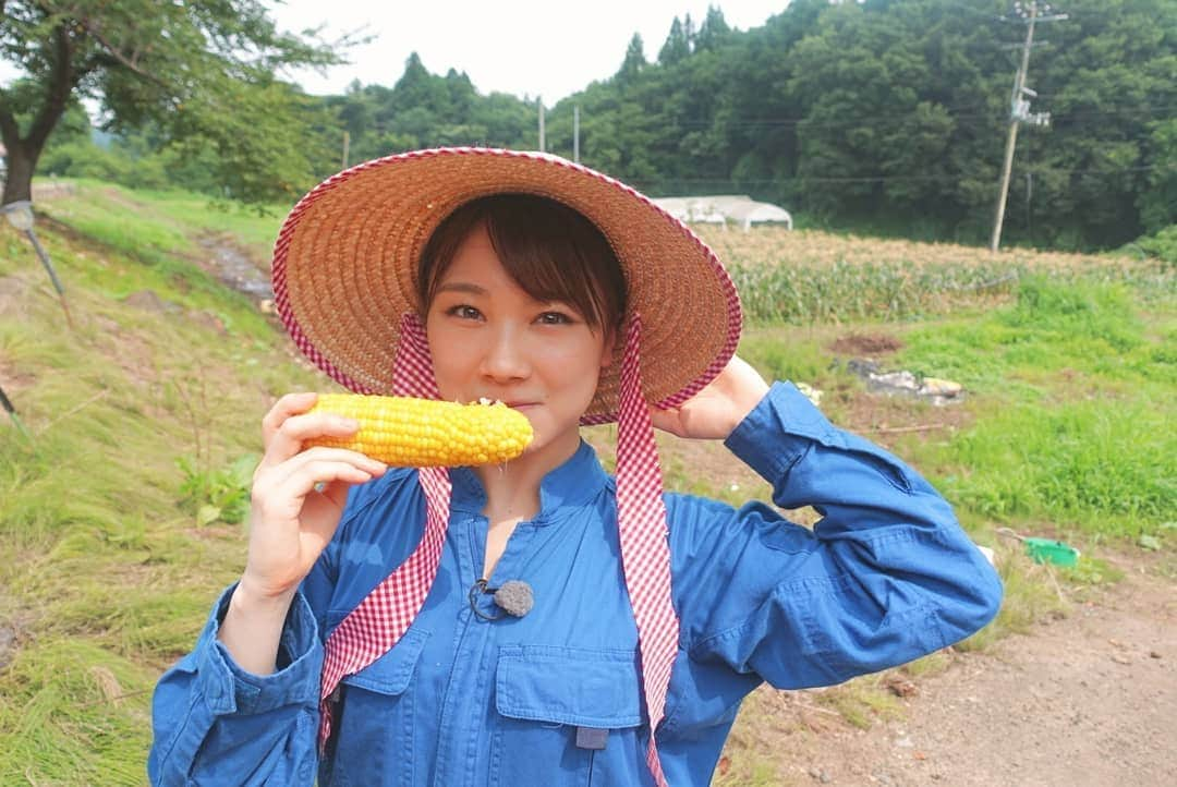 石田亜佑美さんのインスタグラム写真 - (石田亜佑美Instagram)「仙台放送 あらあらかしこ🌼 . . 村田町で美味しいとうもろこしに出会いました 「味来(みらい)」 フルーツコーンとも呼ばれるくらい味が濃くてあまーいです！ . 汗だくになりながらの収穫作業は、農家の皆さんの苦労と愛情を感じ、改めて食材に対して"ありがとう"の気持ちを持とう！と思いました。いただきます、そしてごちそうさま。 . その様子は8/10(土)放送です！ . . #仙台放送 #あらあらかしこ #あらかし #石田亜佑美が行くっ！ #宮城 #柴田郡 #村田町 #とうもろこし #味来 #つなぎ #麦わら帽子 #morningmusume19 #モーニング娘19 #石田亜佑美」7月30日 20時32分 - ayumi_ishida.official