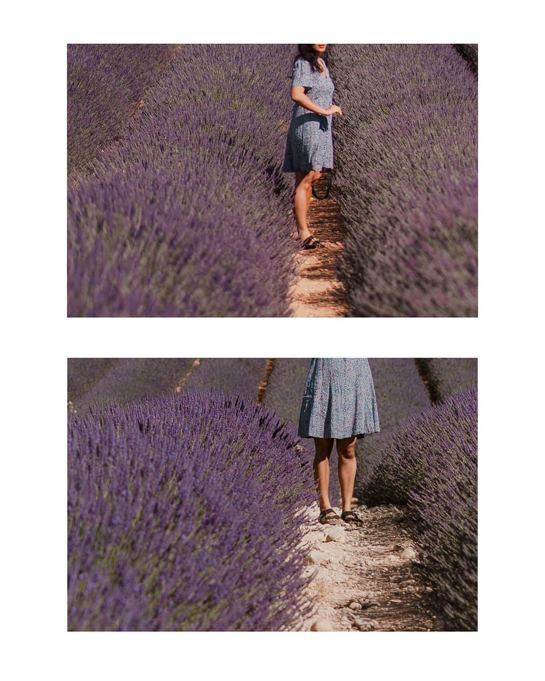 Putri Anindyaさんのインスタグラム写真 - (Putri AnindyaInstagram)「Exploring Provence // from the beautiful landscape of Provence to the gorgeous seaside of Côte d'azur, I traveled with my comfortable @birkenstockid Arizona last month. Here are the proof that France has so much variety and Provence is totally my favorite area. So, I hope this post convinced you to visit this gorgeous area in Summer. Hope you like this quite rare post with me in frame 😉#birkenstockid . . . Thanks so much for taking the first pict @wonguy974 and the rest of the picts in this post @capra311 ❤️」7月30日 20時40分 - puanindya