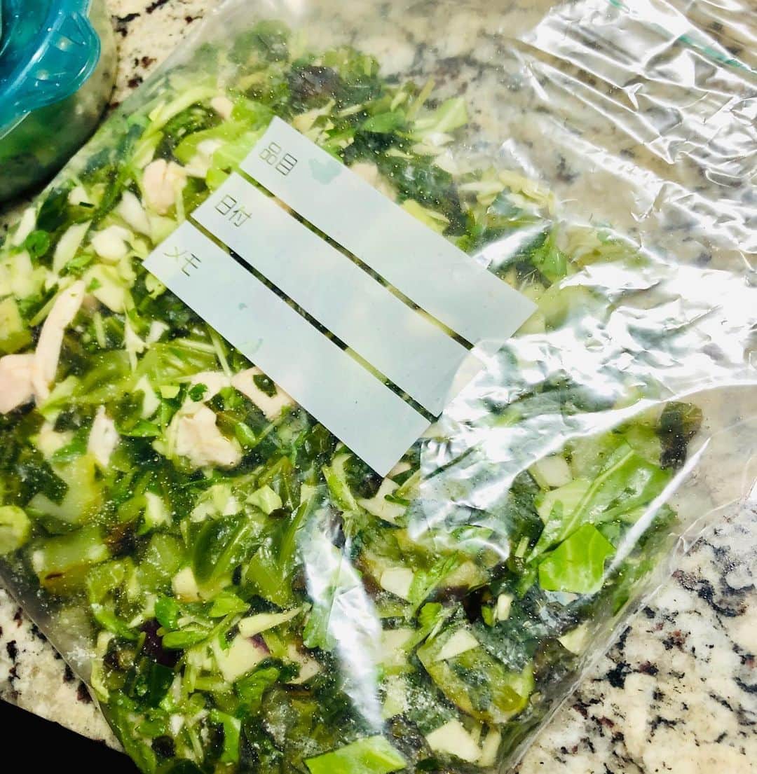 のインスタグラム：「きなこのご飯のおかず買うの忘れた😭 ということで今日は品数少なめ😢 キャベツ、豆苗、ナス、鶏胸肉。 #きなこご飯 #わんこご飯 #ヘルシー犬ご飯 #美容アンチエイジング専門医 #黒田愛美」