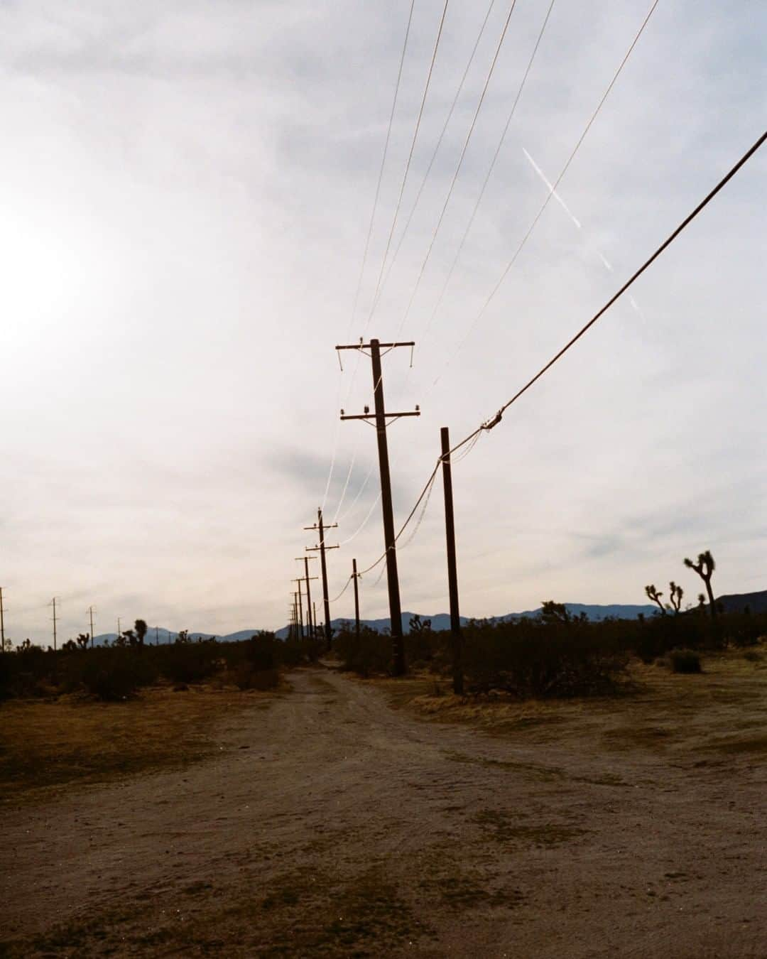 シャンテルさんのインスタグラム写真 - (シャンテルInstagram)「SS19 COLLECTION. UNKNOWN LANDS, a diary — Part 02. SILENT PATHS ————— Another day of light. Somewhere.  #Chantelle #UnknownLands #SilentPaths」7月30日 21時01分 - chantelle_paris