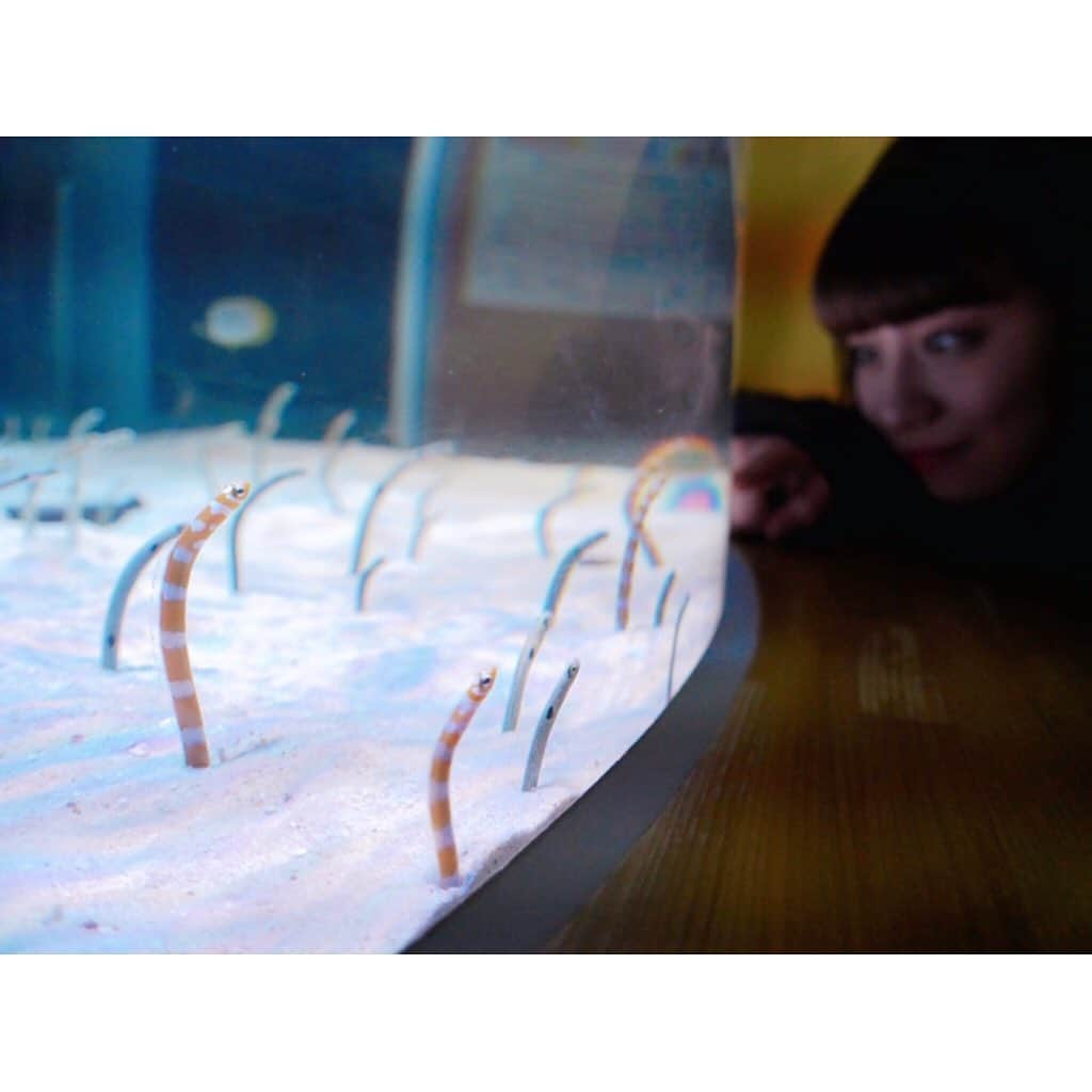 坂本遥奈さんのインスタグラム写真 - (坂本遥奈Instagram)「#名古屋港水族館 のCM📺 最近また、めっちゃ流れてるの見る〜👀 ハルの作詞した#グラブジャムン がCMソングに！！そして考えた振り付けも映ってて、とても嬉しい〜☺️☺️ そろそろ#シャチ に会いたいぞ〜 水族たちに癒されたいぞ〜🐠🐡🐟 #ナイトアクアリウム 行けるといいなぁ 行きたい〜😭♡」7月30日 21時04分 - haruna_sakamoto_official