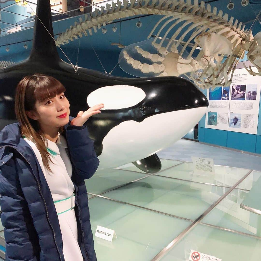 坂本遥奈さんのインスタグラム写真 - (坂本遥奈Instagram)「#名古屋港水族館 のCM📺 最近また、めっちゃ流れてるの見る〜👀 ハルの作詞した#グラブジャムン がCMソングに！！そして考えた振り付けも映ってて、とても嬉しい〜☺️☺️ そろそろ#シャチ に会いたいぞ〜 水族たちに癒されたいぞ〜🐠🐡🐟 #ナイトアクアリウム 行けるといいなぁ 行きたい〜😭♡」7月30日 21時04分 - haruna_sakamoto_official