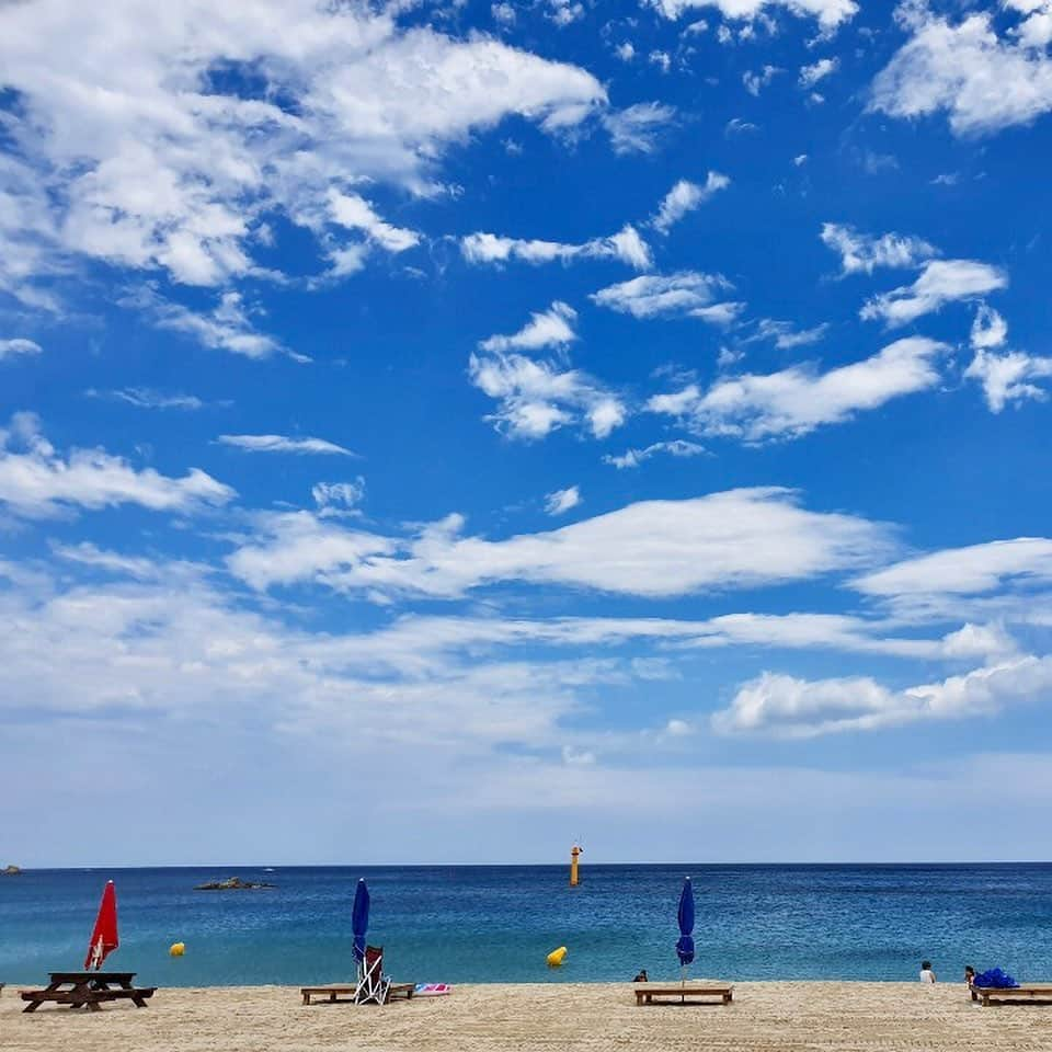 シン・ダウンさんのインスタグラム写真 - (シン・ダウンInstagram)「. 촬영만 하고 가기엔 너무 이쁜 바닷가 🌊 아쉬운 대로 점핑 🦈 . . #공현진해수욕장🏖  #촬영장🎥」7月30日 21時28分 - shindandan_