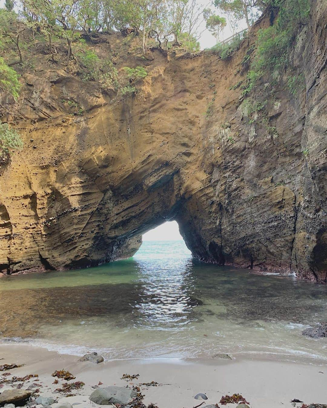 川本彩さんのインスタグラム写真 - (川本彩Instagram)「洞窟の先に見える海がとても綺麗で🌊﻿ 涼しくてここだけ別世界みたいだった☺️🌍﻿ ﻿ 因みによく雑誌やテレビで見る神秘のハートは、肉眼だと見えず🥺笑﻿ 上からだとなんとなく分かるかな、、？♡﻿ ﻿ ここ大好きな中学聖日記のロケ地にもなっていて他も色々巡れたのでまたドラマ見返したくなってしまった〜📺👀！﻿ ﻿ #龍宮窟 #伊豆 #下田 #静岡 #南伊豆 #ハートビュースポット #中学聖日記 #ロケ地 #伊豆旅行 #下田旅行 #静岡旅行 #静岡観光 #ロケ地巡り #shizuoka #izu #shimoda #minamiizu #ryugukutsu」7月30日 21時36分 - aya_kawamoto