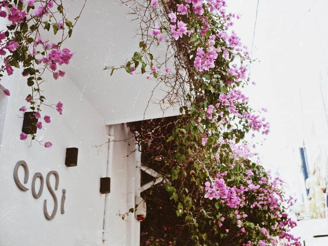 仲村美香さんのインスタグラム写真 - (仲村美香Instagram)「ミコノス島もお花がいっぱい♡ ギリシャの建物はオシャレで素敵な雰囲気の場所がたくさん…💕 ・ ・ ・ ・ #MYKONOS#ミコノス島#ギリシャ#🇬🇷#greece」7月30日 22時13分 - mikapu0519
