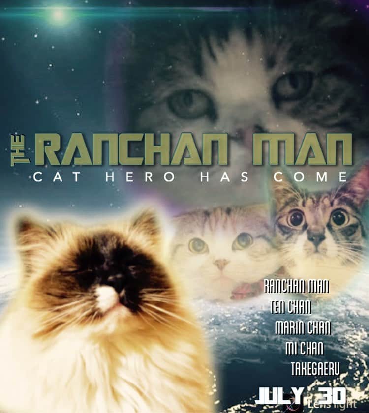 takegaeruのインスタグラム：「大ヒット上映中！！ 全米がにゃいた😭 @petitep0chimie  #宇宙猫 #spacecat  #cat #scottishfold #猫 #スコティッシュフォールド #三毛スコ友の会 #ragdoll #ラグドール #ホワイトポッチーズ #よもねこ #よもぎねこ #キジトラ #きじとら」