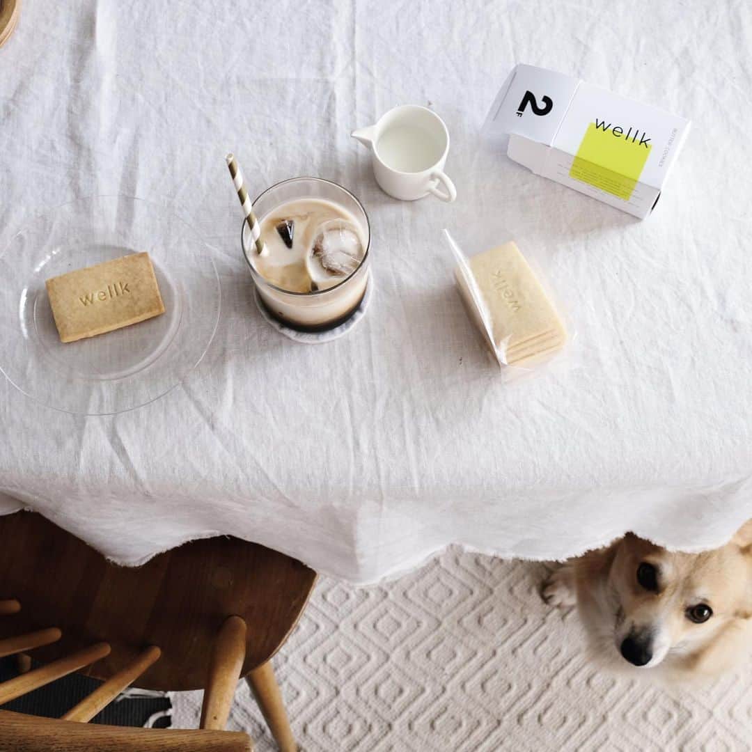 maggydaisyのインスタグラム：「_ 先日の仕事の合間のおやつタイム  梱包作業をしつつ、 こんなタイミングでモアが膀胱炎になり病院に行き、 さらに今夜、散歩に出て5分で何かを踏んだ？？ 足を痛めたようで、明日もまた病院。とほほ。  今夜も梱包、頑張らねば！  ひとつ前のお返事も出来ていずすみません。 頂いたコメントにまた涙。元気をもらいました！ ありがとうございます。  #maggydaisymore20190730 #corgi #コーギー #犬のいる暮らし #里親 #黒川登紀子 #濱岡健太郎 #wellk」