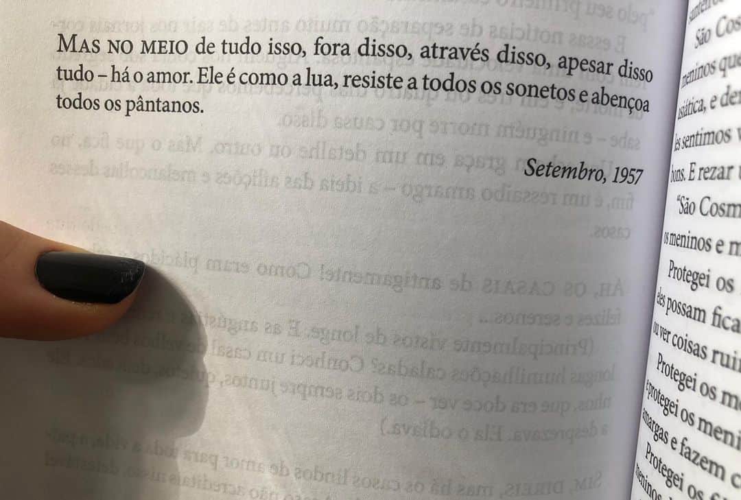 Alice Wegmannのインスタグラム：「rubem braga」