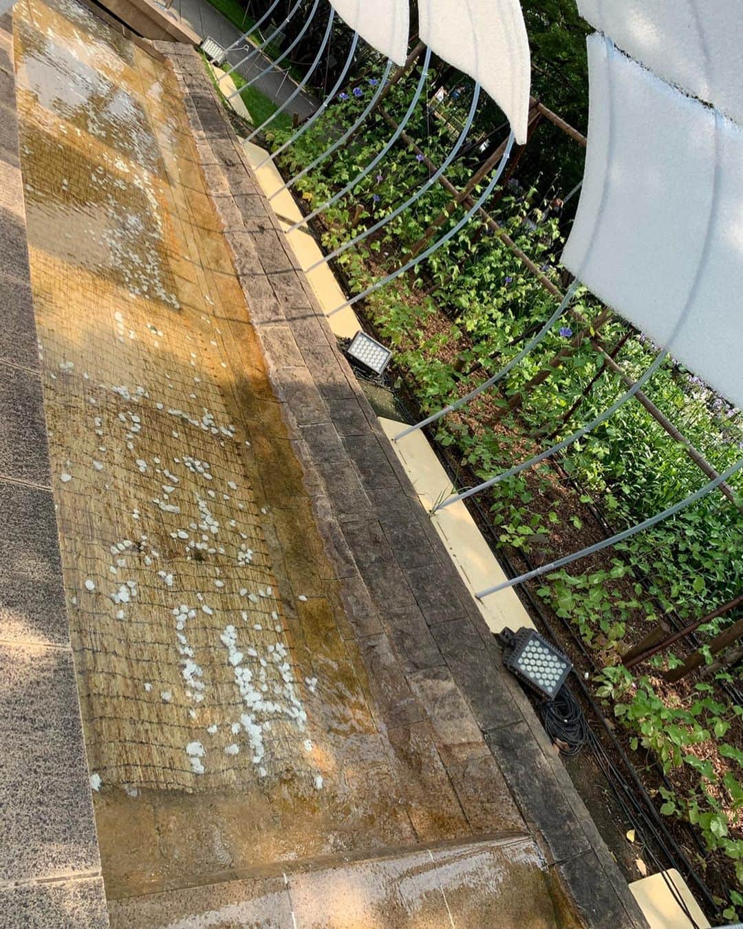 桜井未来さんのインスタグラム写真 - (桜井未来Instagram)「小川に足を浸して涼を楽しむ「ASHIMIZU」を目当てに行ったのですが、14時からと言う事で残念😭💦 息子君はどうしてもお水を見ちゃうと入りたいらしく😅 噴水で遊んでいる子達が沢山居たので、私達もそちらに移動して一緒に遊ぶ事に😊👣 ・ ・ ・ #ミッドタウン #東京ミッドタウン #ミッドタウン六本木 #ミッドタウンガーデン #お散歩 #公園  #お出かけ #ママ #baby #ママ友募集 #赤ちゃんのいる生活 #都内ママ #ベビスタグラム #mamagirl #ベビフル #コドモダカラ #コドモノ #ママリ #親バカ部 #新米ママ東京部 #マタニティ #妊婦 #第二子妊娠中」7月30日 22時44分 - miki.sakurai0214