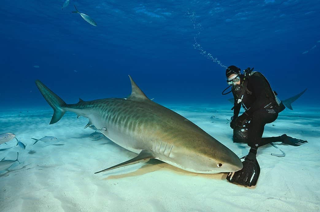 National Geographic Creativeのインスタグラム