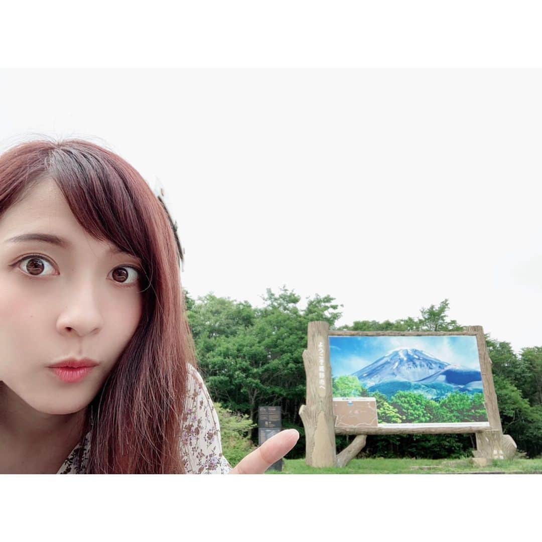 山下耀子のグルメインスタ