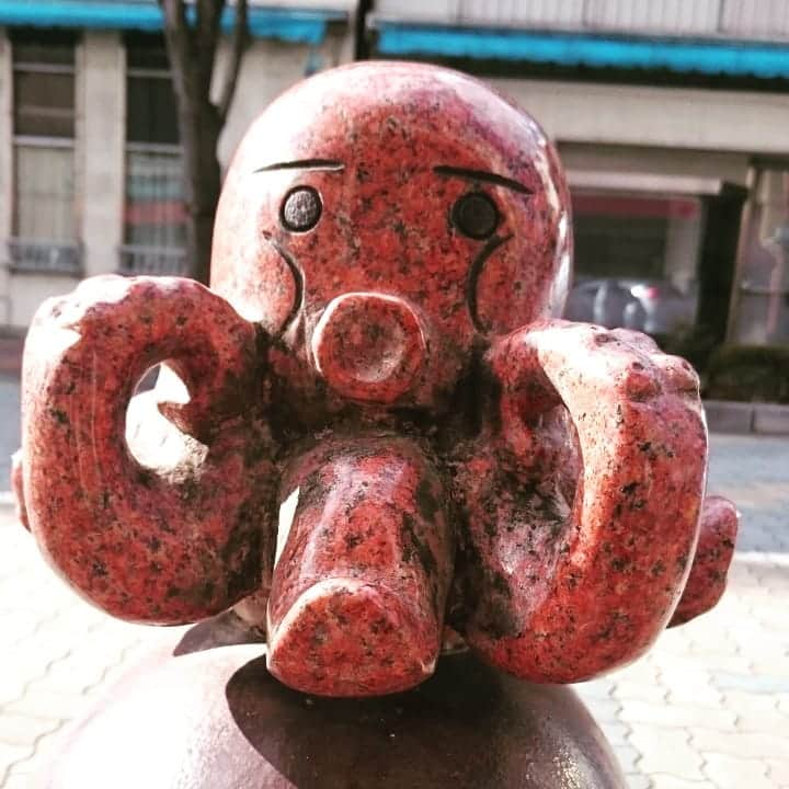 ボートレース宮島さんのインスタグラム写真 - (ボートレース宮島Instagram)「. 『三原のタコ🐙』 尾道と竹原に挟まれた、瀬戸内海に面する街 “三原”⛵ . 瀬戸内海ではタコが獲れる所は多くありますが、中でも潮の流れが速く、きれいな海で育った“三原”のタコは、プリップリの歯ごたえと、噛みしめるほど豊かな旨みを堪能できることで知られています！ . タコ専門店にかわいいタコ像！ “タコを愛する♥️タコの町🐙” . タコの旬は夏の6～8月と、冬の11月～翌3月 なかでも最盛期は盛夏の8月だそうです！ 「タコ飯🐙タコ天🐙タコ刺し🐙タコ焼き」　タコ三昧！！！ . タコ好きな方はぜひ三原にも立ち寄られてみては♪ . . #ボートレース宮島 #宮島競艇場 #宮島競艇 #パルボート宮島 #ボートレース #boatrace #競艇 #競艇場 #モンタ #ボートレースな日々 #ボートレース愛好会 #三原市 #タコ #瀬戸内海 #octopus #Mihara #広島観光  #hiroshima」7月31日 10時06分 - boatrace_miyajima