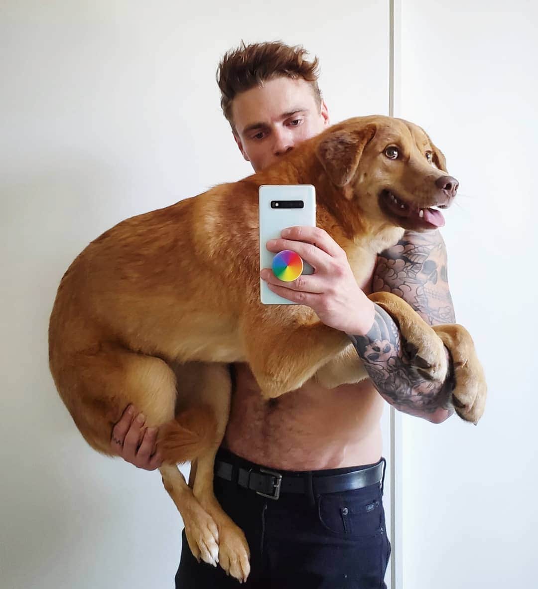 ガス・ケンワージーのインスタグラム：「Yesterday marked exactly one year since I adopted my sweet baby, Birdie. Normally I would never comment on a lady's weight but LOOK HOW BIG SHE IS!!!」