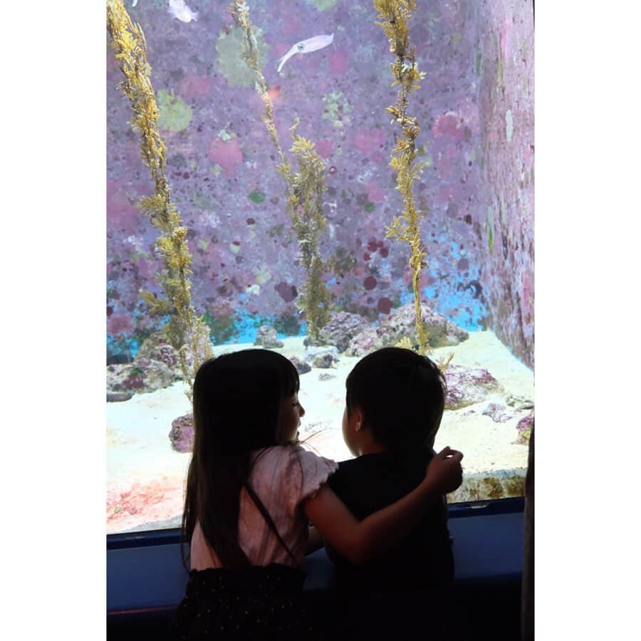 Ai.tさんのインスタグラム写真 - (Ai.tInstagram)「. . 3日目は美ら海水族館と 平和祈念公園へ❤️🙆‍♀️ . 子どもたちに聞いたら海とプールと公園が楽しかったって🤣💓 . . ここは本当大きい遊具が多くて楽しそうだったなぁ🤔❤️ . 三泊目は @marinx_okinawa のペンションに泊まったよ💁‍♀️ @marinx.poolvilla もとても素敵だから今度泊まってみたいなぁ😊💓 . . 沖縄、本当楽しかった😭 ただ紫外線？日差しが強すぎた🤣 もっとこまめに日焼け止め塗れば良かったと後悔…😅 .  朝一の便で乗って帰りは17時くらいの便で帰ってきたんだけど 行きも帰りも寝てくれたから 良かったよー😆 生紅芋タルトを飛行機乗る間際に見つけてそれだけ食べてみたかったなぁ🤭 . とりあえず伊計島が最高だった！ . また行きたいね❤️🙆‍♀️ . . #nagisa_kouya_movie #沖縄」7月31日 10時10分 - ngs.rky.kuy