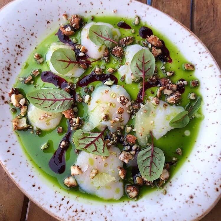 Food & Wineさんのインスタグラム写真 - (Food & WineInstagram)「Digital Restaurant Editor @mariayagz is only eating raw or chilled foods until this summer heat breaks, and if that means dishes like this crudo with scallops, spiced cashews, basil oil and huckleberry agrodulce—count us in, too. 📷: @mariayagz」7月31日 8時58分 - foodandwine